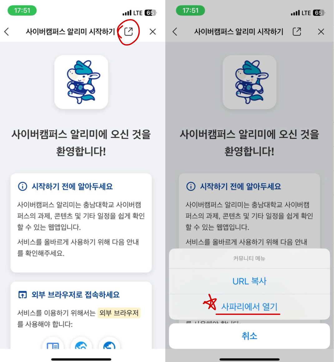 외부 브라우저로 여는 방법 예시